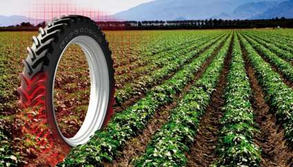 c/х шина на поле  